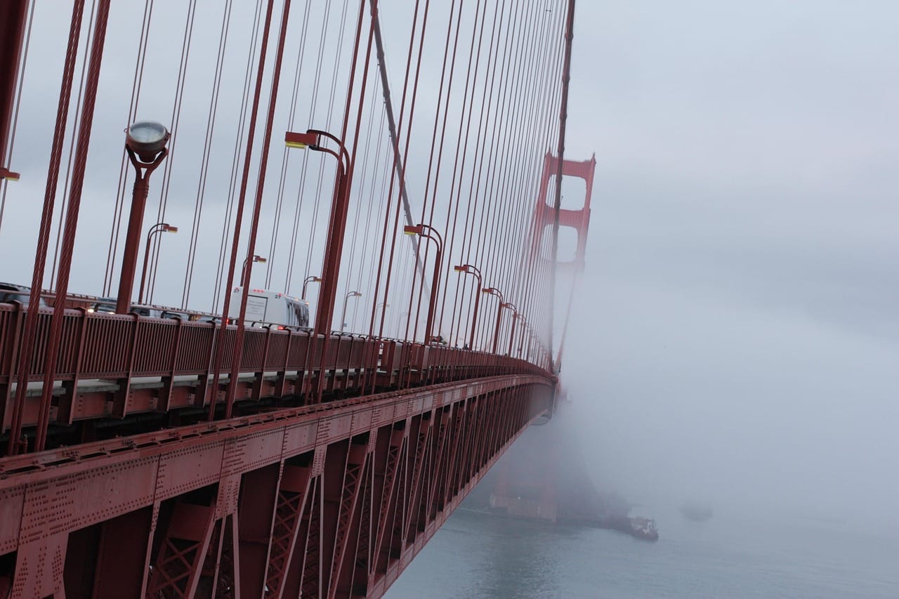 A summer inside the fog