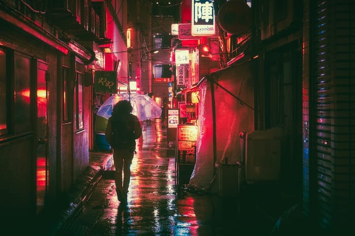 Neon and rain: a field guide